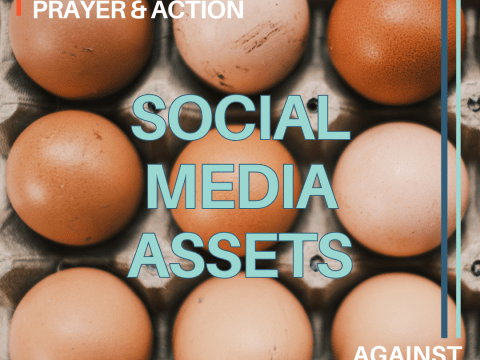 Social Media Assets 